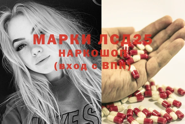 сатива Новозыбков