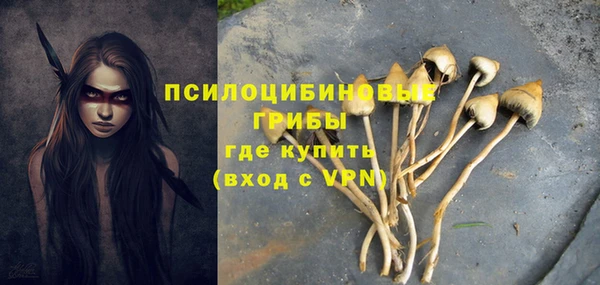 a pvp Анжеро-Судженск