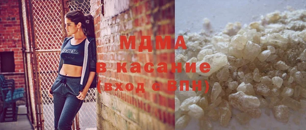 сатива Новозыбков
