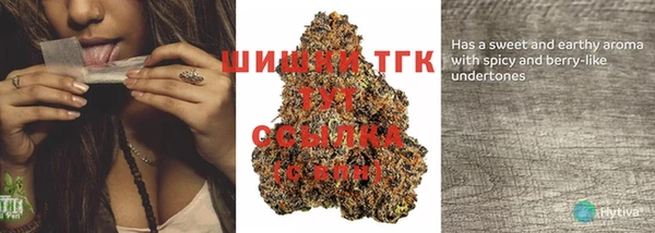 первитин Новодвинск