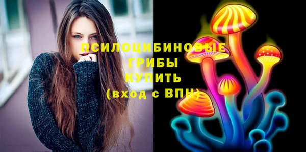 первитин Новодвинск