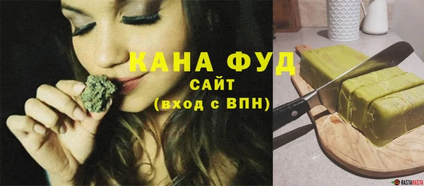 сатива Новозыбков