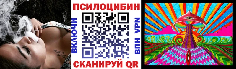 Псилоцибиновые грибы Psilocybe  Новотроицк 