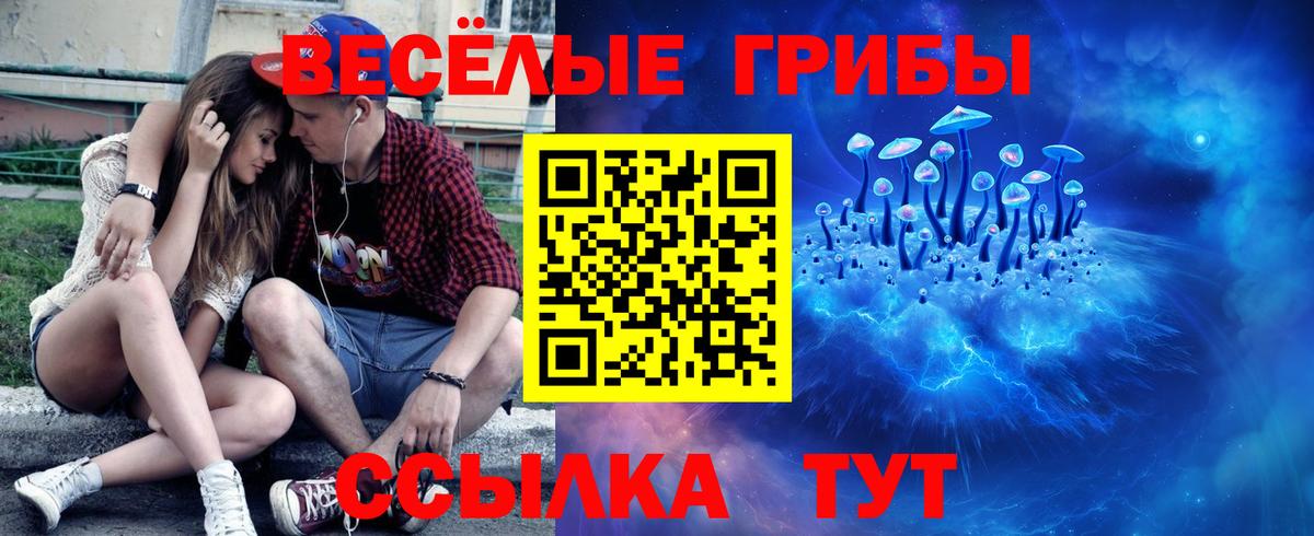 Галлюциногенные грибы мицелий  закладки  Новотроицк  Вход с VPN 