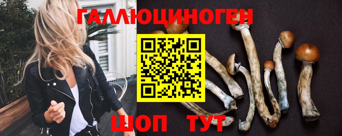 Галлюциногенные грибы GOLDEN TEACHER  Псилоцибиновые грибы прущие грибы  Вход с VPN  Новотроицк 